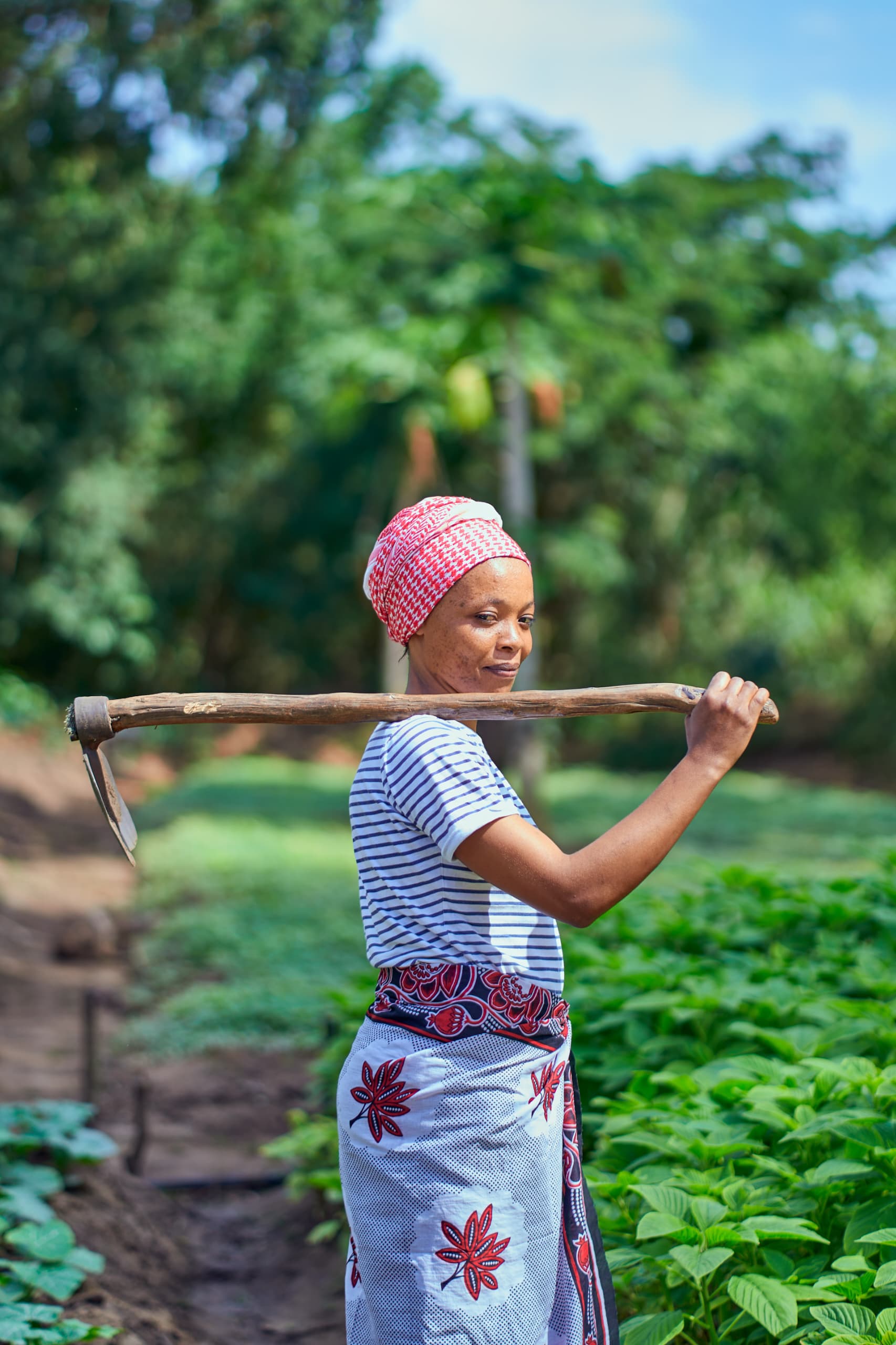 Woman farmer working in the field